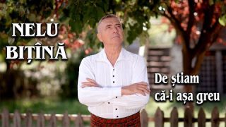 Nelu Bitina si Orchestra Lautarii de la Chisinau – De stiam ca-i asa greu  (official video) NOU